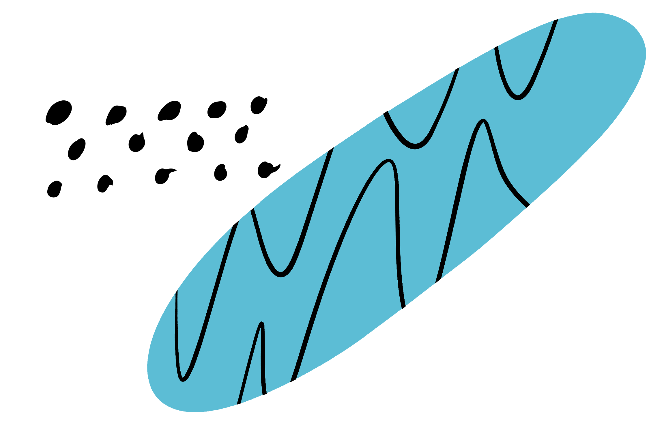 Group 6